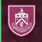 307 Team Badge - Parallel Green