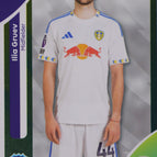 333 Ilia Gruev