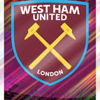334  Club Crest
