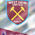 334   Team Badge
