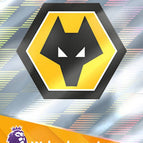 352   Team Badge