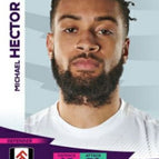 355 Michael Hector