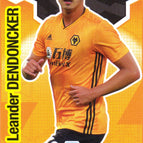 357 Leander Dendoncker