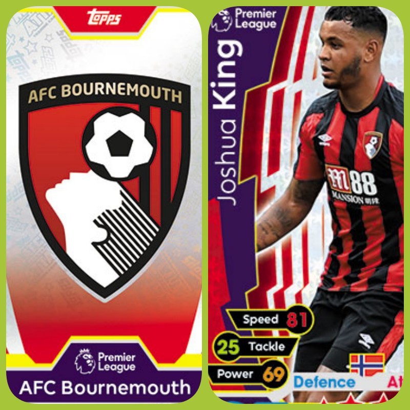 AFC Bournemouth – Topps Match Attax 2017-2018 – Base Cards