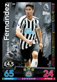261 - Federico Fernandez Newcastle United 2018 2019