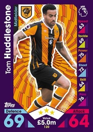 120 Tom Huddlestone Hull City 2016 2017.jpg