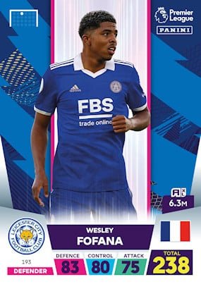 193. wesley fofana leicester city.jpg