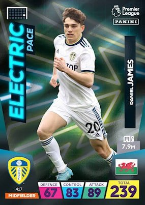 417. Daniel James Leeds United.jpg