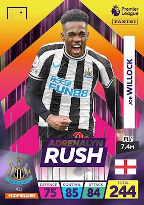 431. Joe Willock Newcastle United.jpg