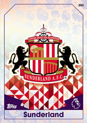 253  club badge sunderland 2016 2017