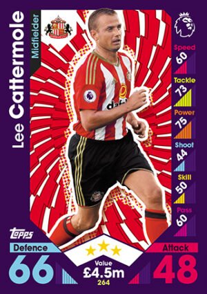 264  lee cattermole sunderland 2016 2017
