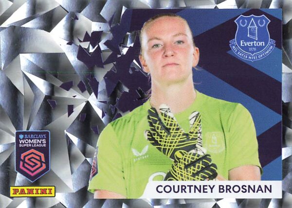 223 courtney brosnan (everton)    stat smasher