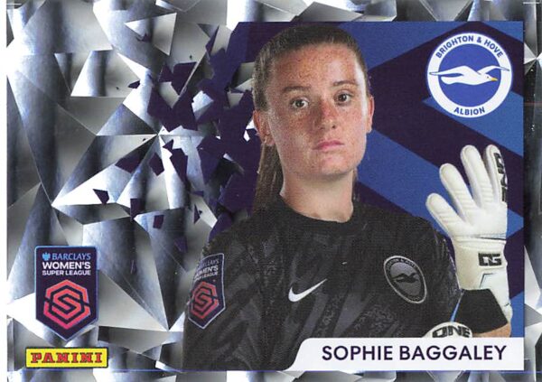 136 sophie baggaley (brighton & hove albion)    stat smasher