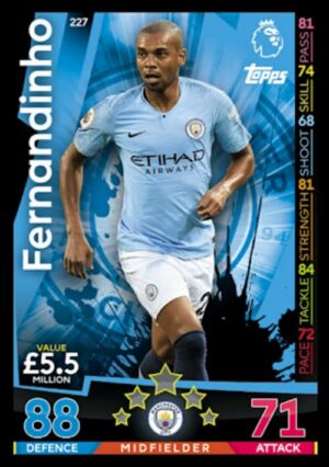 227  fernandinho manchester city 2018 2019 500px