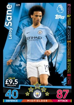 229  leroy sane manchester city 2018 2019 500px