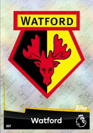 307  club badge watford 2018 2019 500px