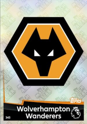 343  club badge wolverhampton wanderers 2018 2019 500px