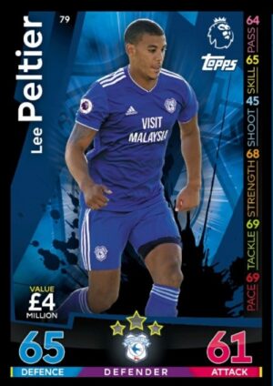 79  lee peltier cardiff city 2018 2019 500px