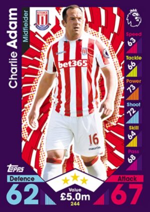244  Charlie Adam Stoke City 2016 2017 500px