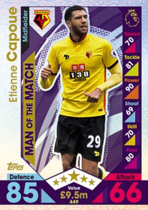 449  Etienne Capoue Watford 2016 2017 500px
