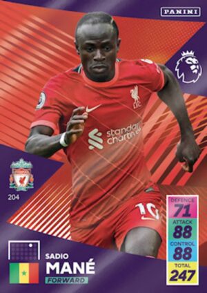 204.  Sadio Mané (Liverpool) larger