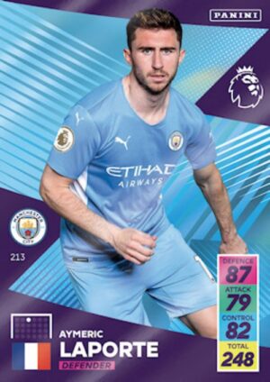 213.  Aymeric Laporte (Manchester City) larger