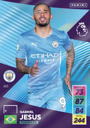223.  Gabriel Jesús (Manchester City) larger