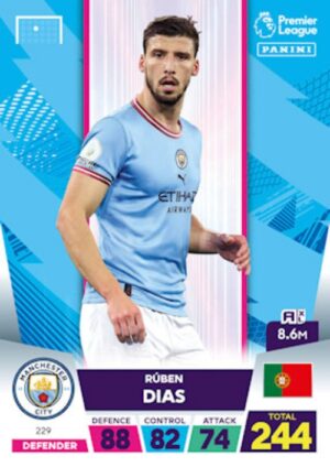 229.  Ruben Dias (Manchester City) 500px