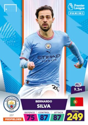 237.  Bernardo Silva (Manchester City) 500px